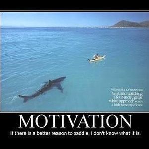 Meet your Posher, Adam